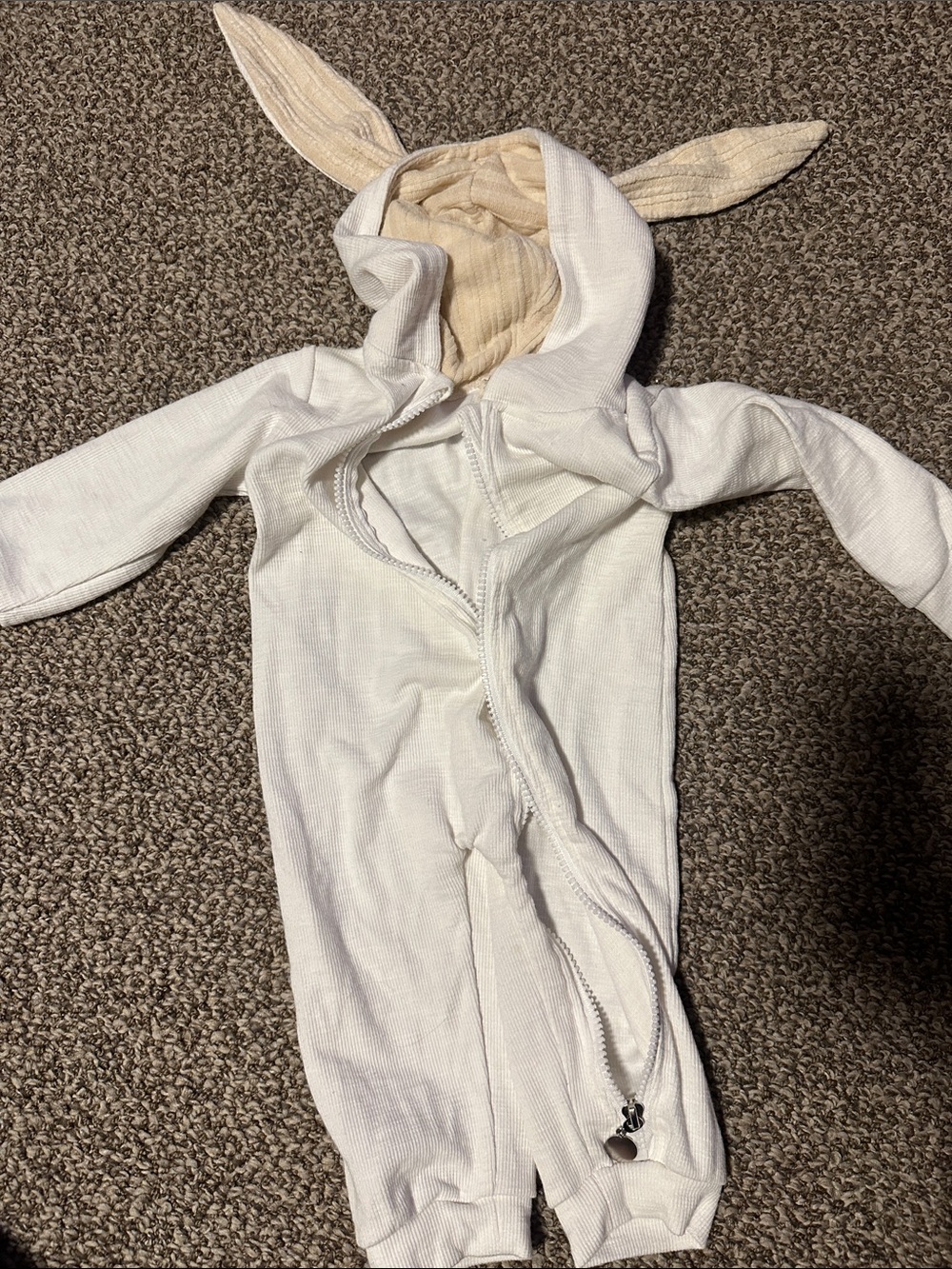 Bunny suit